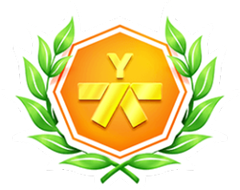 Badge de certification Yellow Belt
